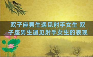 双子座男生遇见射手女生 双子座男生遇见射手女生的表现